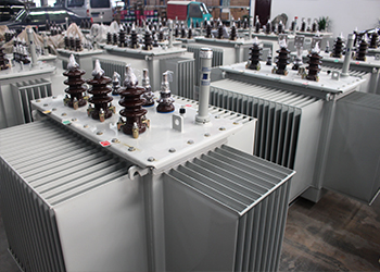 湘西S9-160KVA/10KV油浸式电力变压器